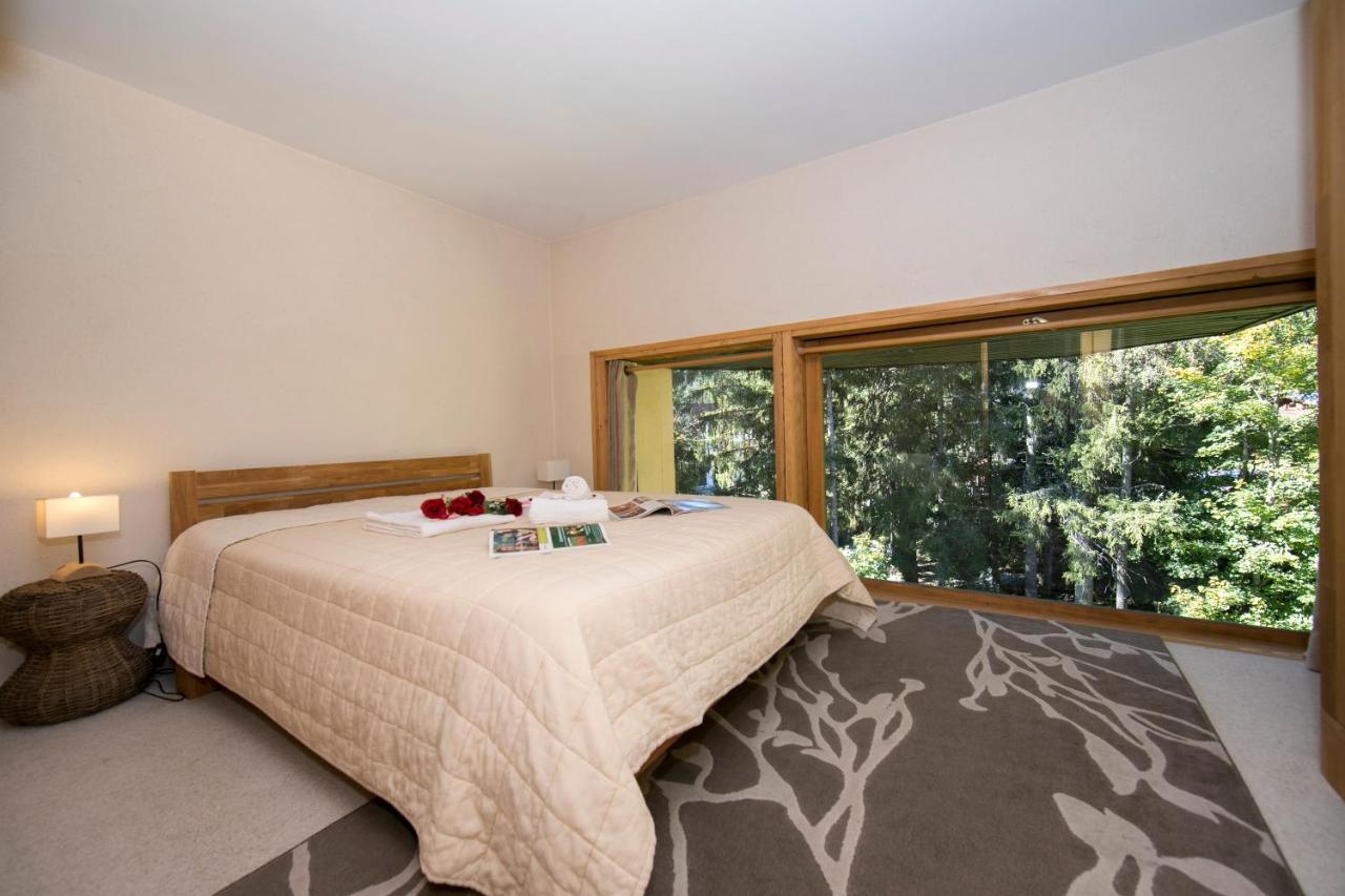 Residence Grand Roc - Ancolies 104 - Happy Rentals シャモニー エクステリア 写真